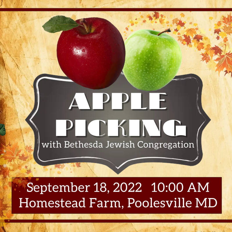 Banner Image for Apple Picking with BJC